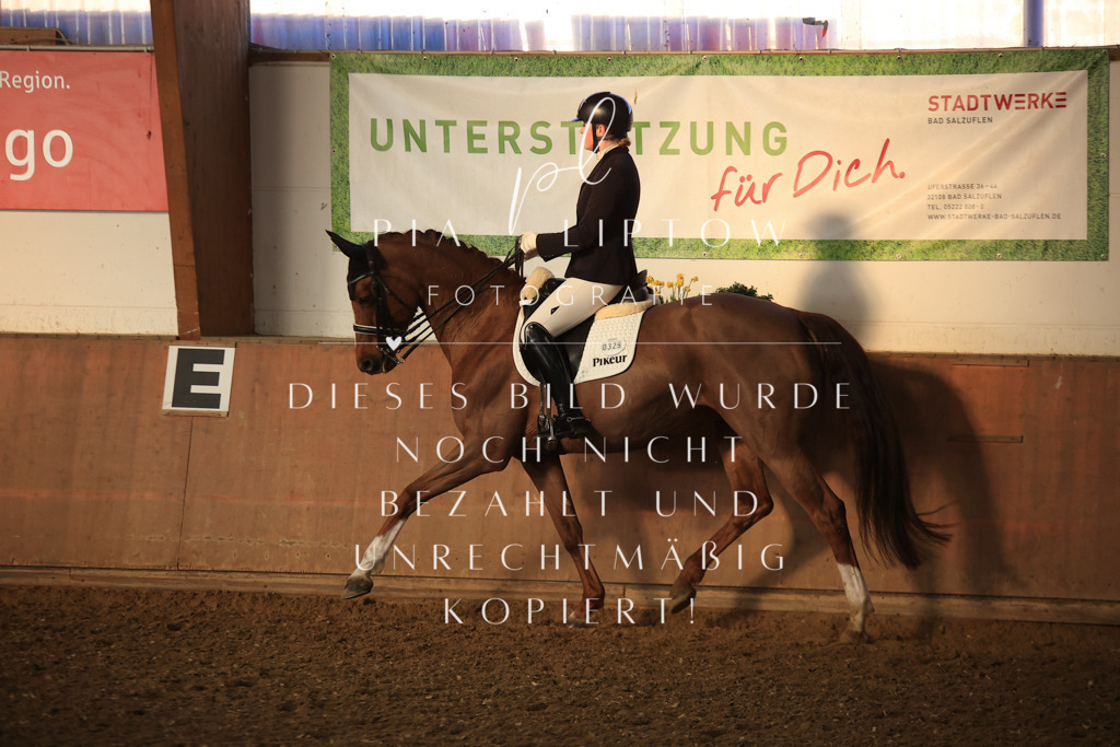 IMGT0378 | pl-fotografie