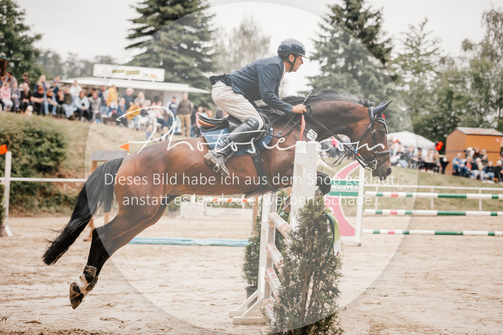 3I6A2250 | Stimmungsvolle Portraits und Reitsportfotografie im Ruhrgebiet und im Münsterland.

Pferdefotografie, Hundefotografie, Tierfotografie, Reportagen, Portraits von Tier und Mensch, Turnierfotografie in Bochum, Recklinghausen, Marl, Haltern am See, Dülmen.. - Realisiert mit Pictrs.com