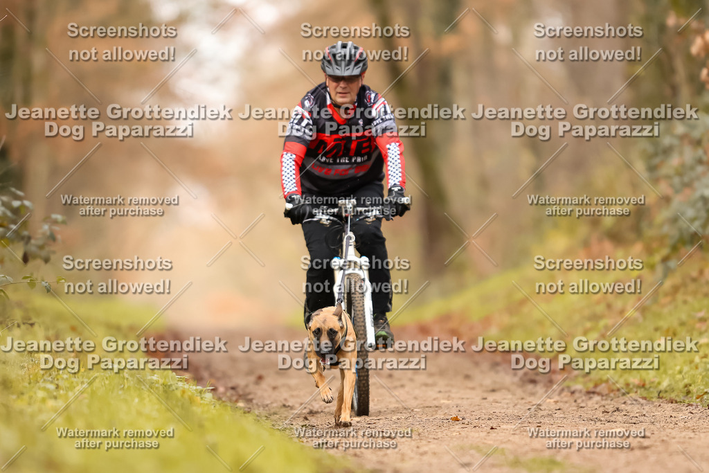 Dog Paparazzi - Speedhunter Mannheim  2025-312 | Dog Paparazzi Jeanette Grottendiek Fotografie & Videografie