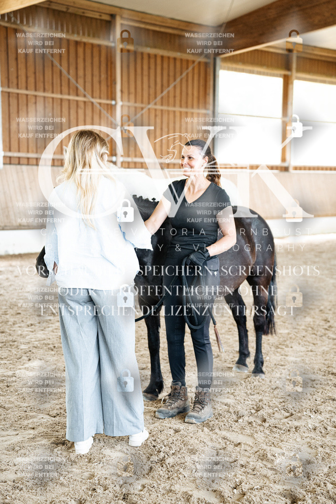 CK703250 | Turnierfotografie Pferdefotografie Trier Rheinland-Pfalz Pferdesport Reitsport Tierfotografie Sportfotografie Pferdevideo Pferdevideografie Equestrianvideography equestrianphotography  - Realized with Pictrs.com