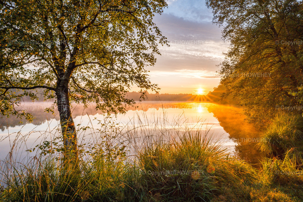 _1090360 | thowehey - Realisiert mit Pictrs.com