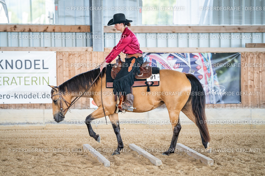 DSC03311 | Pferdegrafie