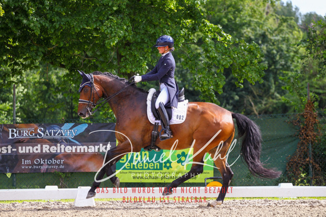 DKP41453 | Turnierfotos kaufen im Webshop von Daniel Kuhl Photography – entdecke professionelle Reitsportfotos aus Turnieren & Events. Hochwertige Turnierbilder online bestellen & sichern. Jetzt Fotos von Reitsportturnieren kaufen!