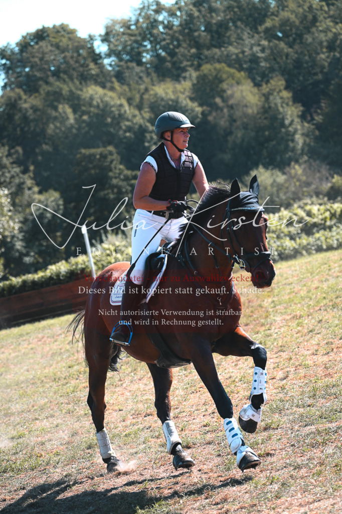 DSC_8257 | Pferde- und Turnierfotografie in Westsachsen. Pferdeportraits, Auftragszeichnungen und intuitive Kunst.