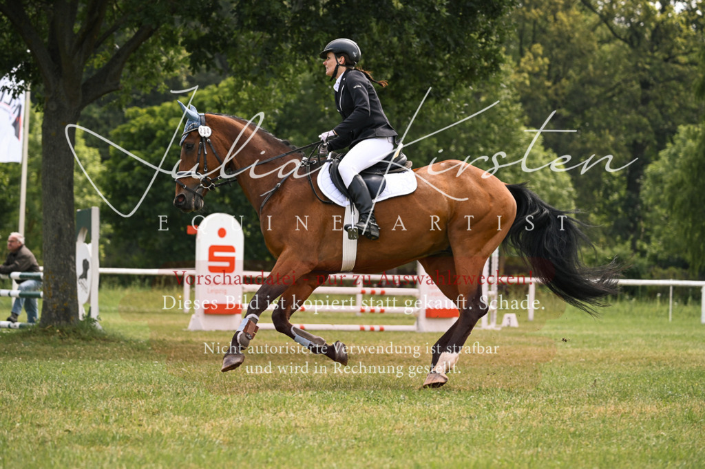 DSC_9163 | Pferde- und Turnierfotografie in Westsachsen. Pferdeportraits, Auftragszeichnungen und intuitive Kunst.