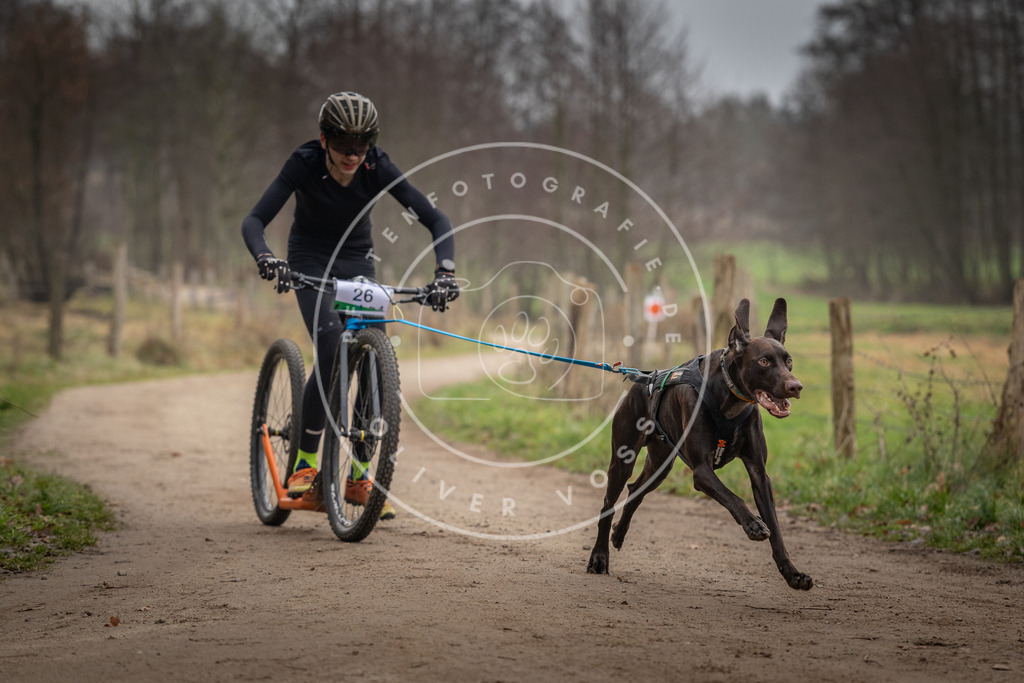 Pfotenfotografie_DV3A2136 | Hundefotografie, Tierfotograf, Pfotenfotografie, Fotoshooting Hund, Hunde Portrait, Hundesport, Hundeportraits, Heideshooting, Hunde, Sportfotograf, Hundefotograf, Turnierhundsport, THS,  - Realisiert mit Pictrs.com