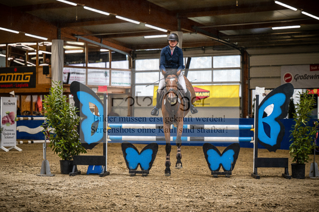 DOS_B1340 | Entdecke hochwertige Reitturnierfotos von Foto Oger. Professionell, emotional und authentisch – jetzt Lieblingsmomente im Shop bestellen.Deutschlandweite Turnierfotografie. - Realisiert mit Pictrs.com