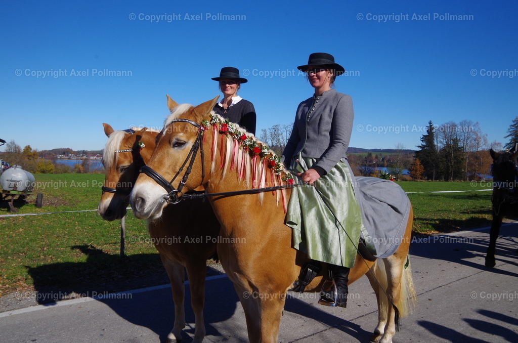 IMGP8042 | fotografiert von Axel PollmannLeonhardi Wallfahrt Benediktbeuern und Murnau, Fronleichnam, Fasching, Landschaft im Loisachtal und Benediktbeuern  - Realisiert mit Pictrs.com