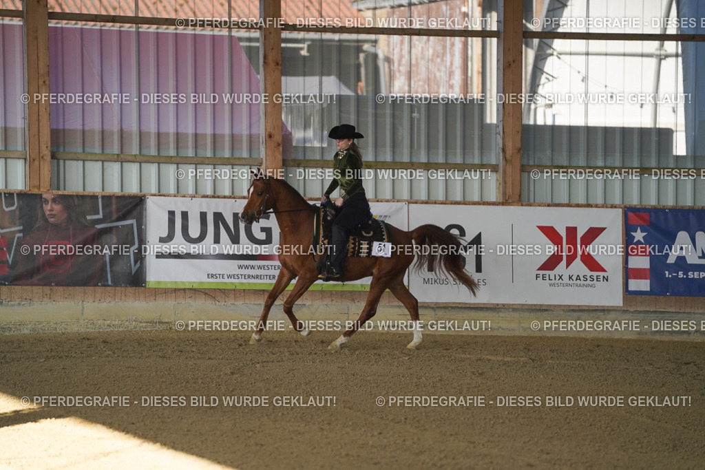 DSC08551 | Pferdegrafie