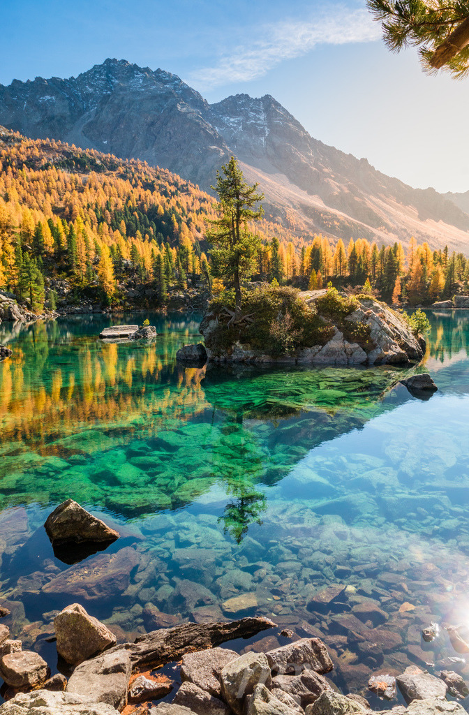 Insel mit Lärche im Lago di Saoseo, Puschlav, Schweiz | Insel mit Lärche im Lago di Saoseo, Puschlav, Schweiz - Realisiert mit Pictrs.com