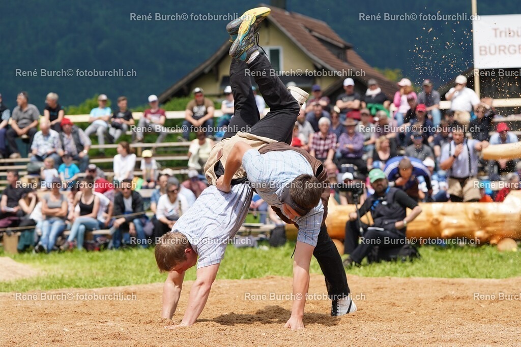 47 | René Burch leidenschaftlicher Fotograf aus Kerns in Obwalden.  Hier finden sie Sport, Landschaft und Natur Fotografie.
 - Realisiert mit Pictrs.com