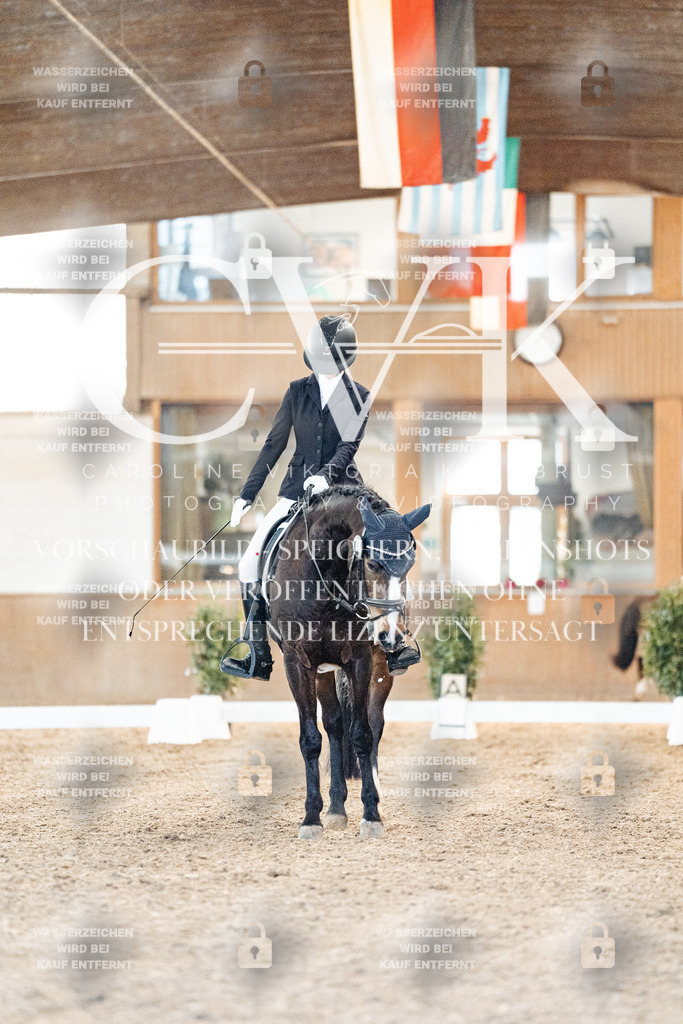 CK906912 | Turnierfotografie Pferdefotografie Trier Rheinland-Pfalz Pferdesport Reitsport Tierfotografie Sportfotografie Pferdevideo Pferdevideografie Equestrianvideography equestrianphotography  - Realisiert mit Pictrs.com