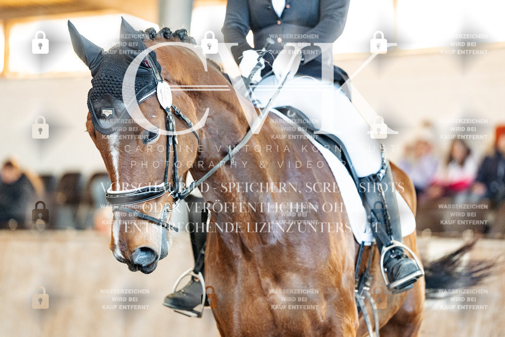 CK909139 | Turnierfotografie Pferdefotografie Trier Rheinland-Pfalz Pferdesport Reitsport Tierfotografie Sportfotografie Pferdevideo Pferdevideografie Equestrianvideography equestrianphotography  - Realized with Pictrs.com