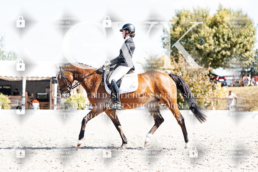 CK903730 | Turnierfotografie Pferdefotografie Trier Rheinland-Pfalz Pferdesport Reitsport Tierfotografie Sportfotografie Pferdevideo Pferdevideografie Equestrianvideography equestrianphotography  - Realisiert mit Pictrs.com
