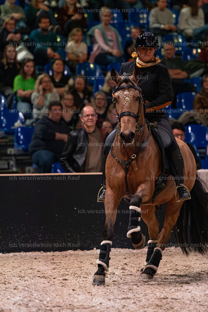 JoseraCup-204 | working equitationturnier fotograf videograf stoibphotography marixx film working equitation deutschland reitsport turnierfotografie eventfotografie equestrian events