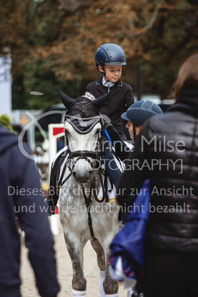 240915_OWLCh_FuehrzuegelWB-658 | Deine schönsten Turniermomente als professionelle Fotos! Entdecke hochwertige Pferdesport-Fotografie im Online-Shop. Jetzt Fotos finden & bestellen!