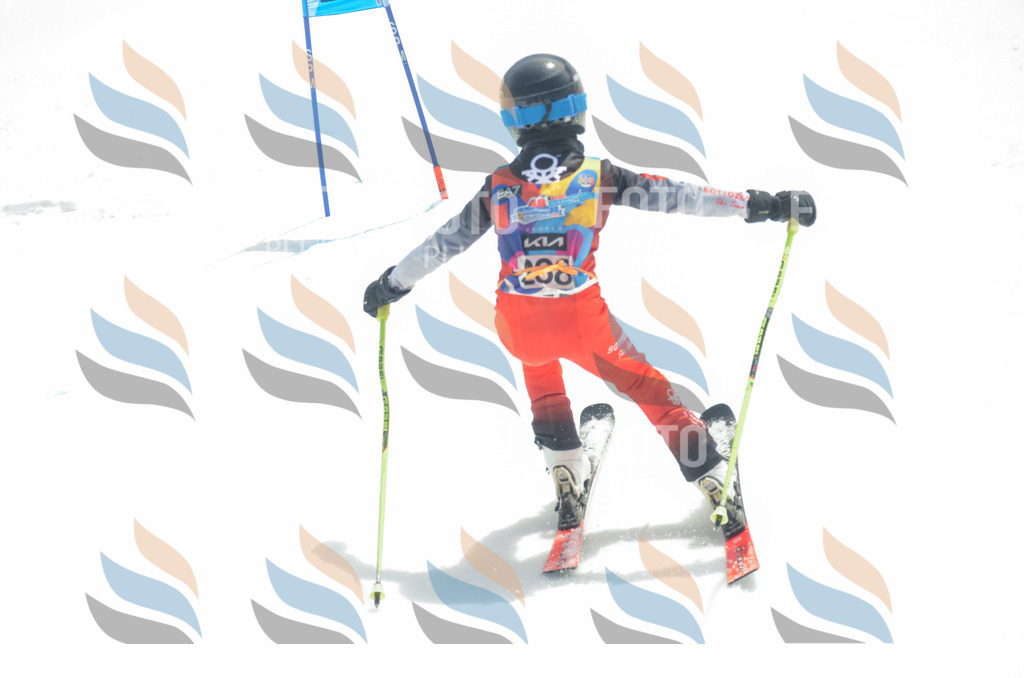 _ELE7406 | holidayphoto