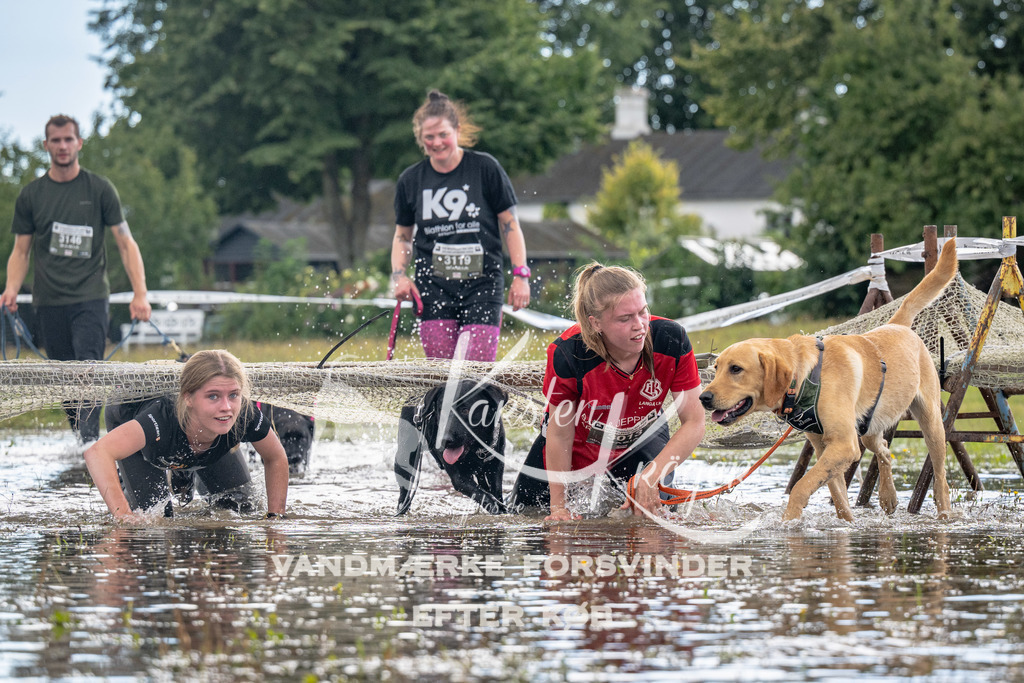 1346_ZZ91066 | kk-dogfotos