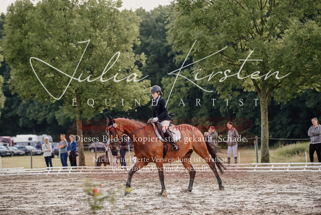 DSC_8194 | Pferde- und Turnierfotografie in Westsachsen. Pferdeportraits, Auftragszeichnungen und intuitive Kunst.