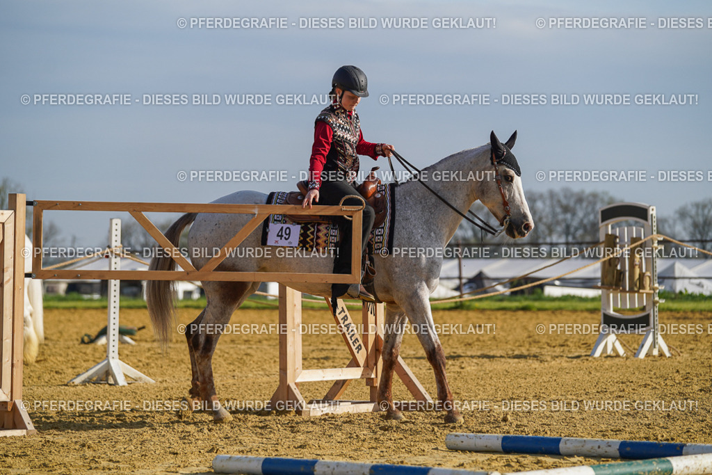 DSC00871 | Pferdegrafie