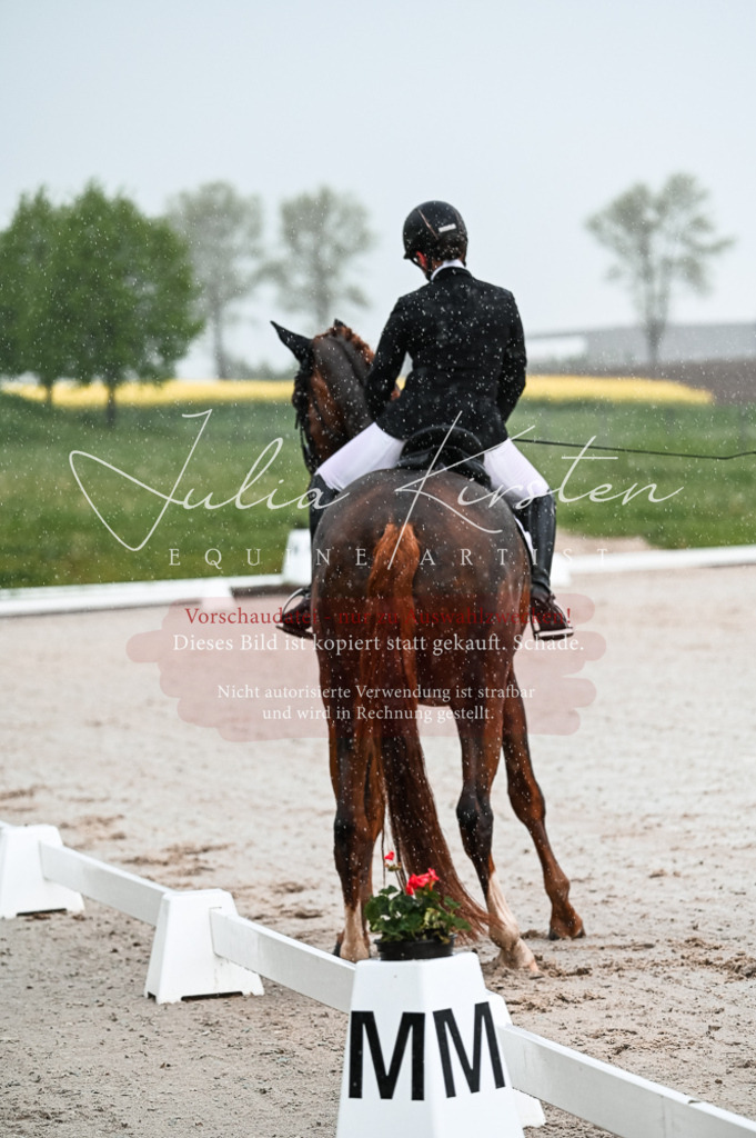 DSC_4109 | Pferde- und Turnierfotografie in Westsachsen. Pferdeportraits, Auftragszeichnungen und intuitive Kunst.