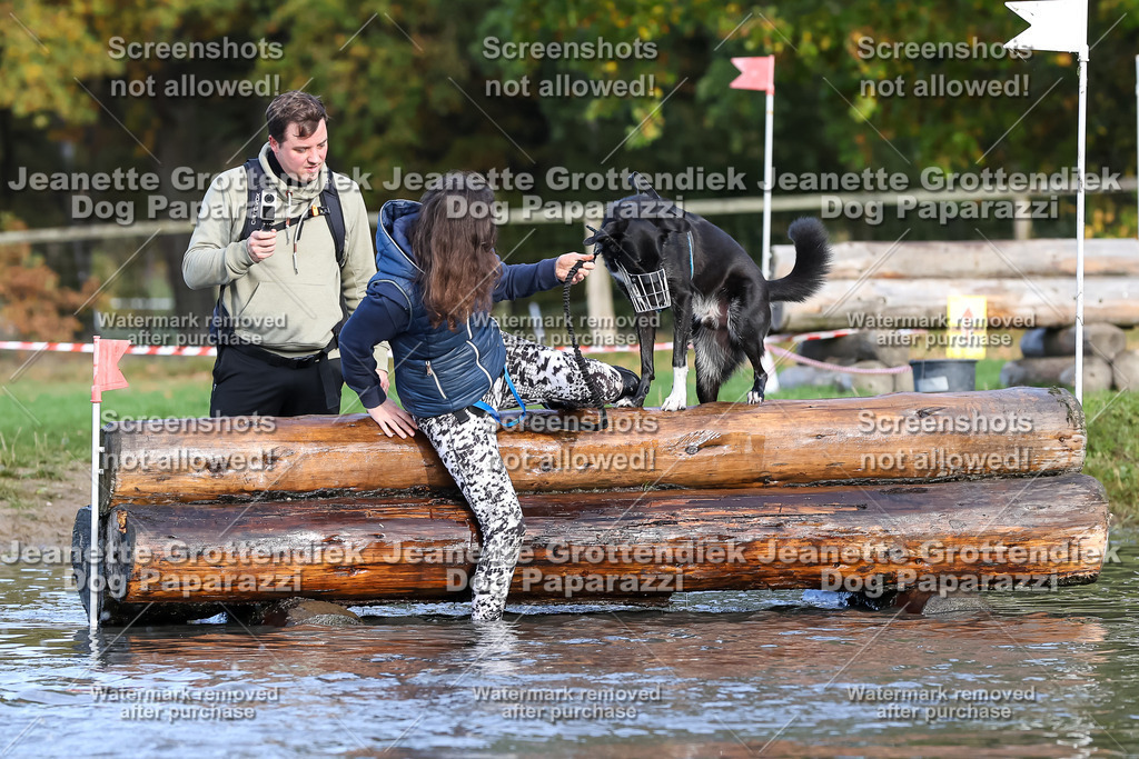 Dog Paparazzi - Strongdog 10-25-8320 | Dog Paparazzi Jeanette Grottendiek Fotografie & Videografie - Realisiert mit Pictrs.com