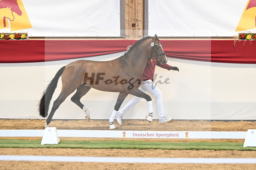 Kat.-Nr. 51 v. Fanegro_Gaab_3260511 | hf-fotografie - Realizzato con Pictrs.com