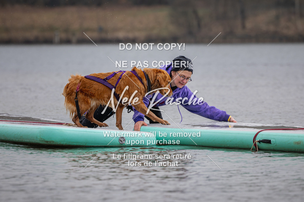 nelerasche_Hulsbeek_Sa1430-1515_27 | nelerasche
