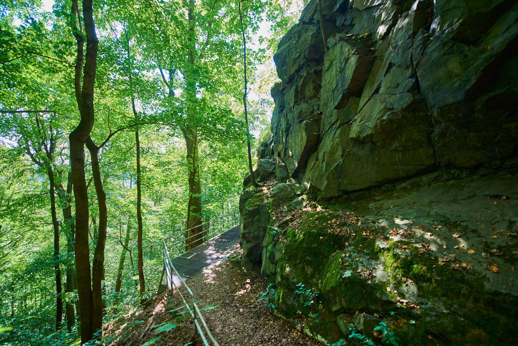 Im NSG _Hartensteiner Wald_ 03 | Bedeutsame Landschaften Deutschlands - Realisiert mit Pictrs.com
