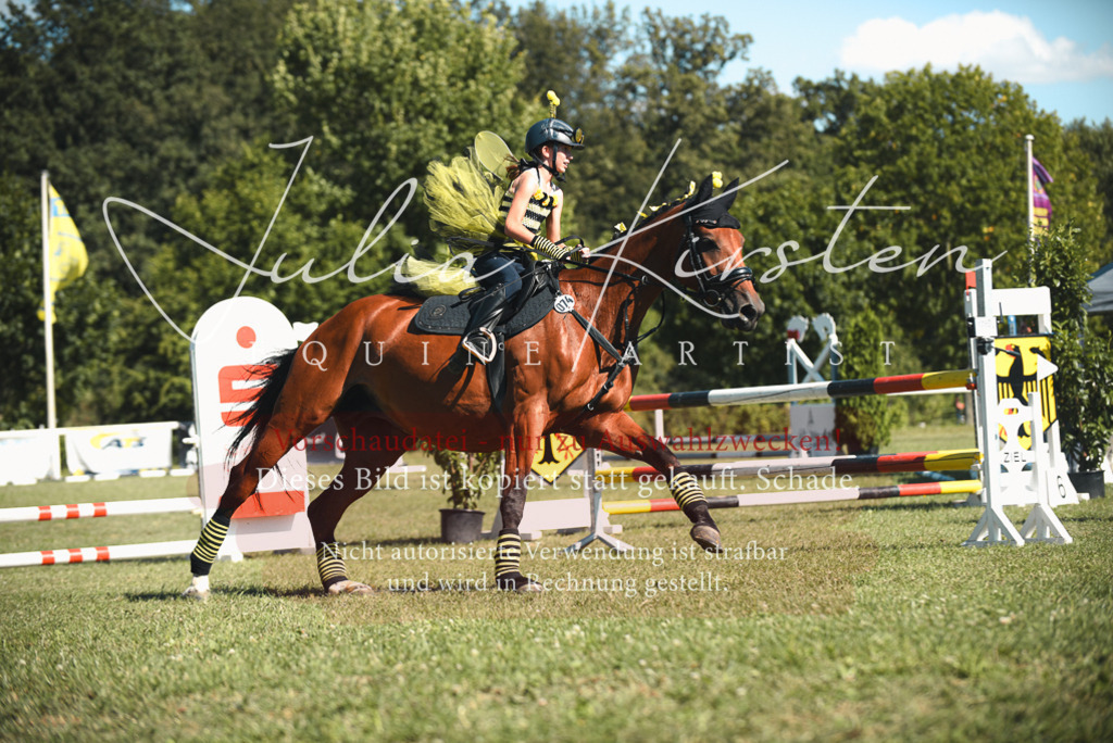 DSC_7491 | Pferde- und Turnierfotografie in Westsachsen. Pferdeportraits, Auftragszeichnungen und intuitive Kunst.