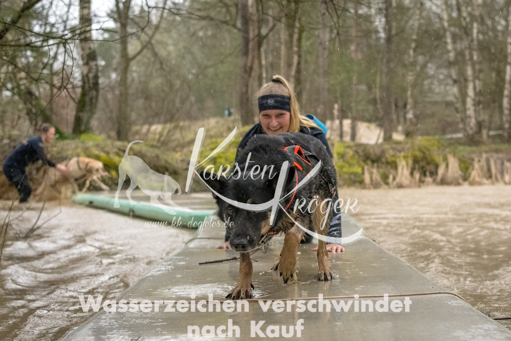 1049_ZZ93500-Bearbeitet | kk-dogfotos