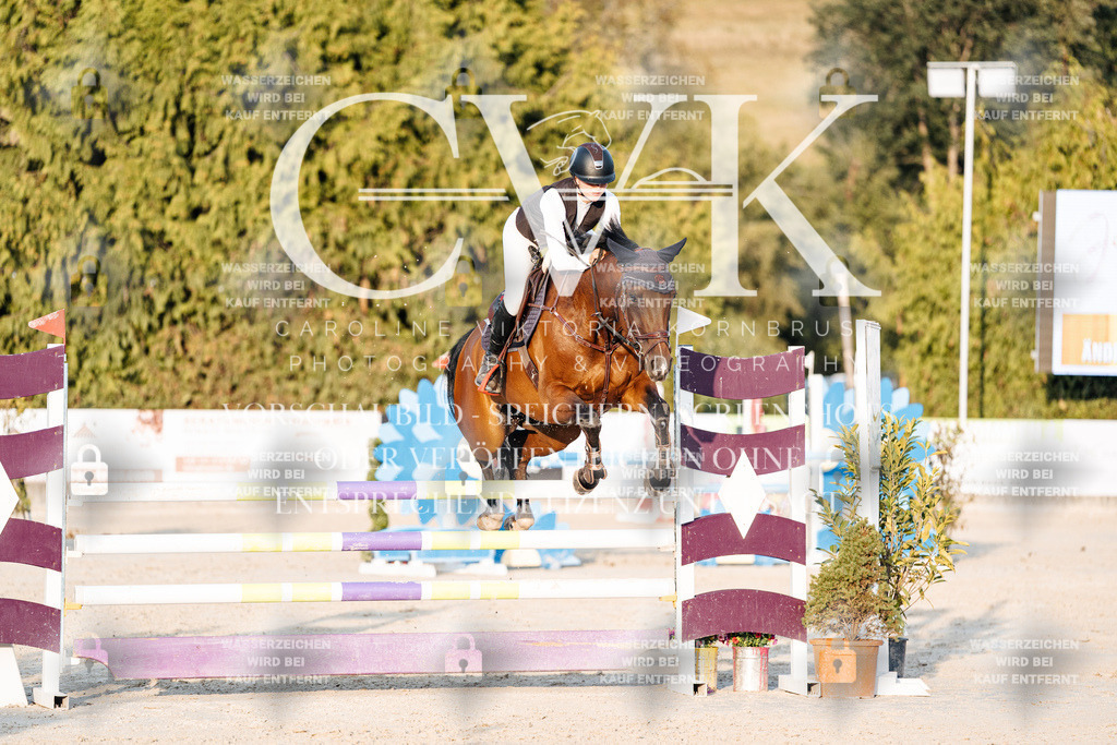 CK901033 | Turnierfotografie Pferdefotografie Trier Rheinland-Pfalz Pferdesport Reitsport Tierfotografie Sportfotografie Pferdevideo Pferdevideografie Equestrianvideography equestrianphotography  - Realisiert mit Pictrs.com
