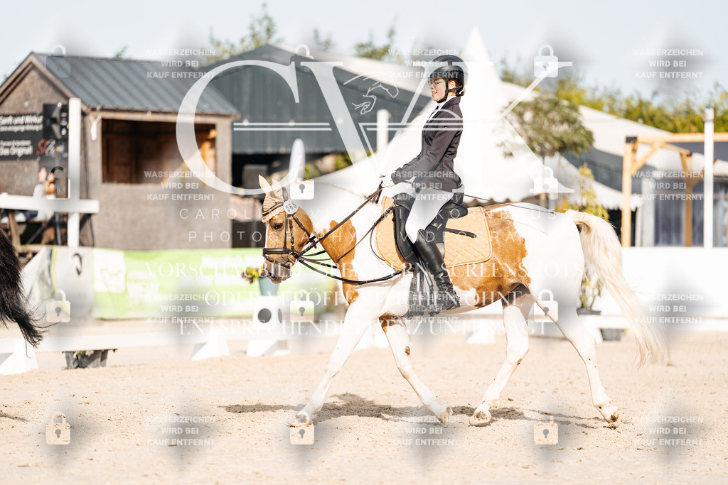 CK904843 | Turnierfotografie Pferdefotografie Trier Rheinland-Pfalz Pferdesport Reitsport Tierfotografie Sportfotografie Pferdevideo Pferdevideografie Equestrianvideography equestrianphotography  - Realisiert mit Pictrs.com