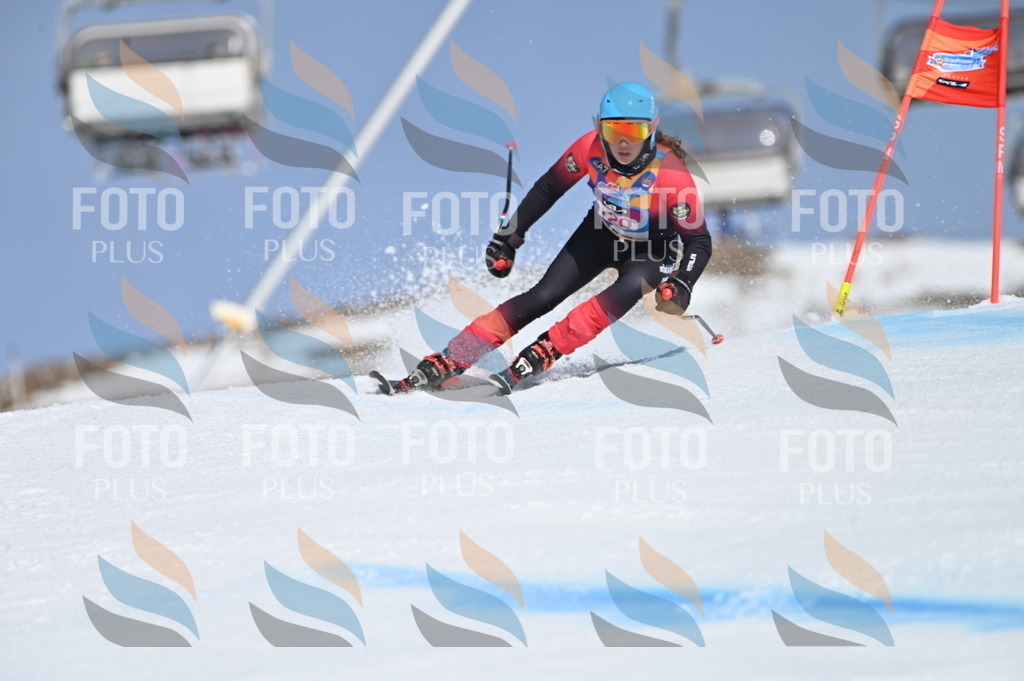 BGV_9800 | holidayphoto