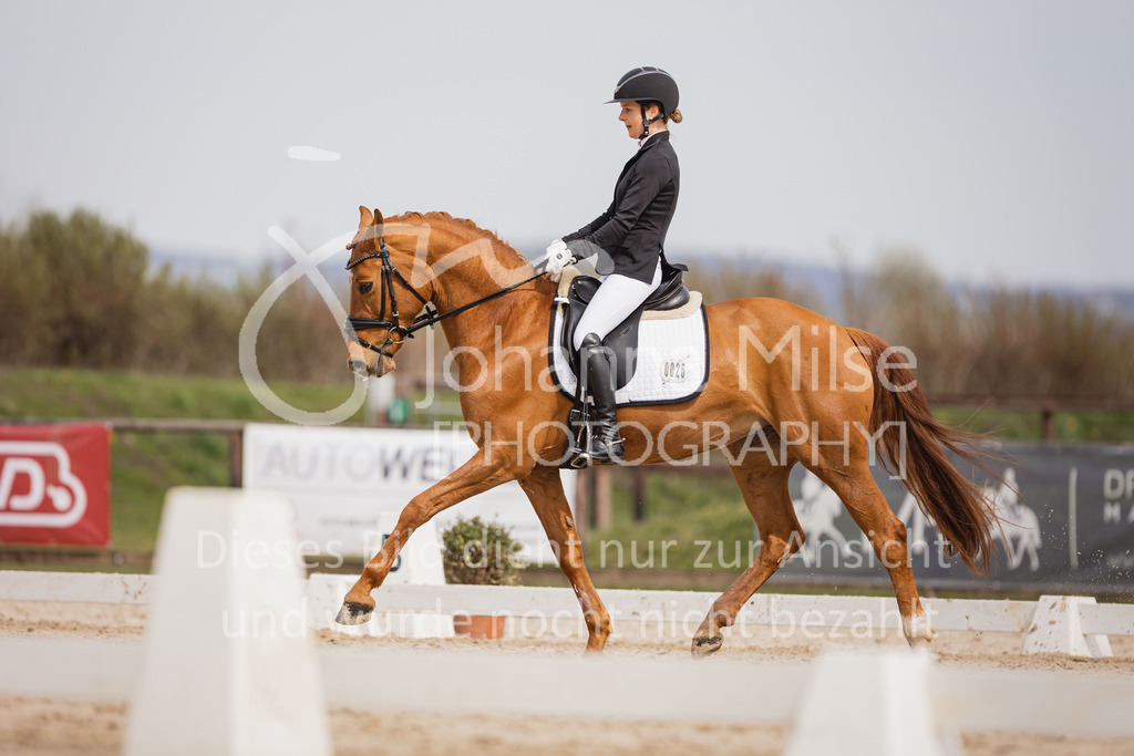 230410_Frühlingsfest_A-Dressur-466 | Deine schönsten Turniermomente als professionelle Fotos! Entdecke hochwertige Pferdesport-Fotografie im Online-Shop. Jetzt Fotos finden & bestellen!