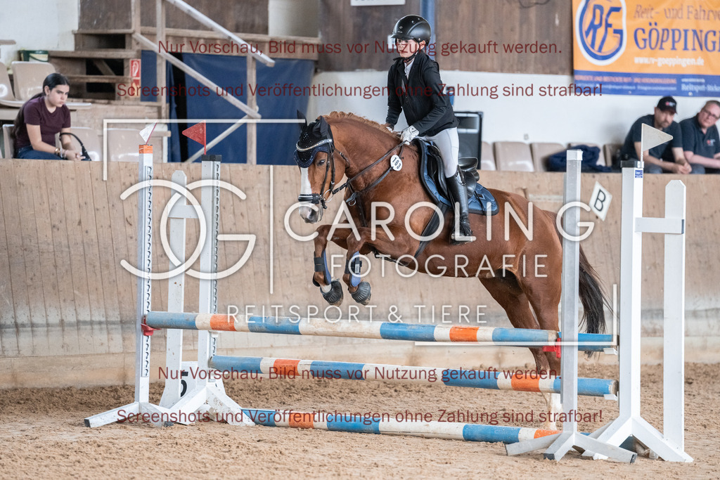 DSC01051 | Reitturnier_Göppingen_April_2026, Anni_hummel, vanety_3