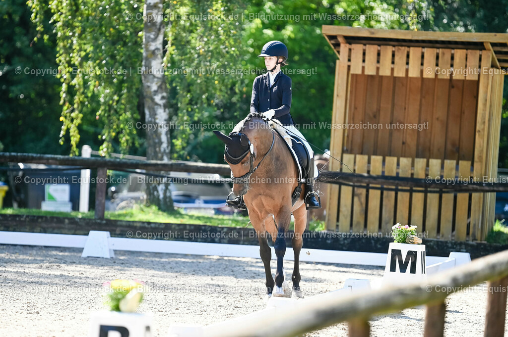 20230908_06_Dressur-L-Trense_0292 | equistock