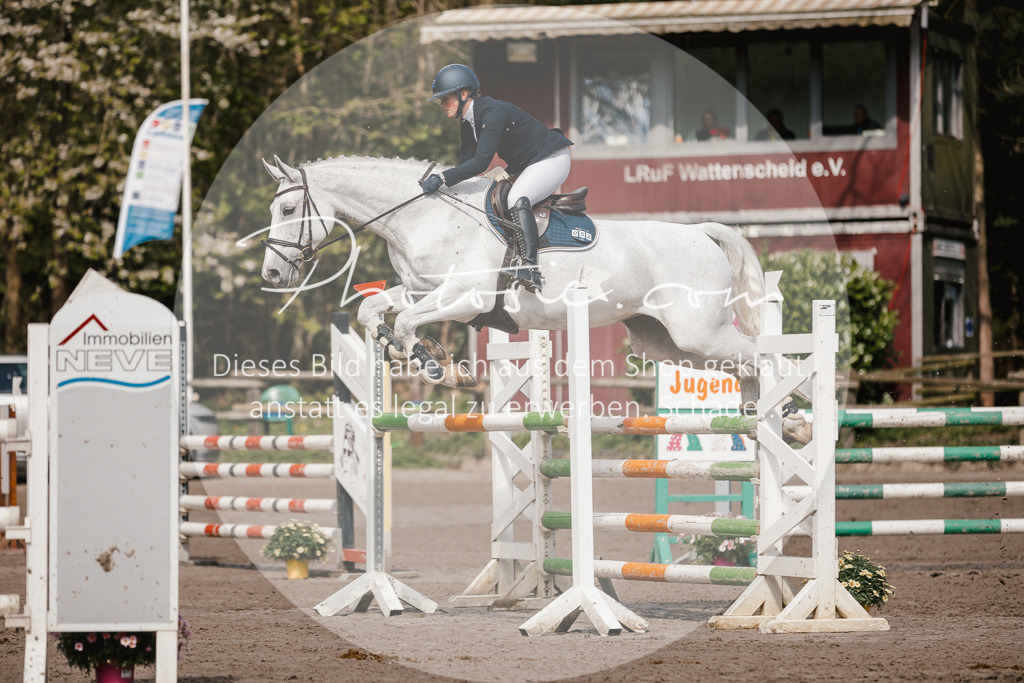 3I6A4091 | Stimmungsvolle Portraits und Reitsportfotografie im Ruhrgebiet und im Münsterland.

Pferdefotografie, Hundefotografie, Tierfotografie, Reportagen, Portraits von Tier und Mensch, Turnierfotografie in Bochum, Recklinghausen, Marl, Haltern am See, Dülmen.. - Realisiert mit Pictrs.com