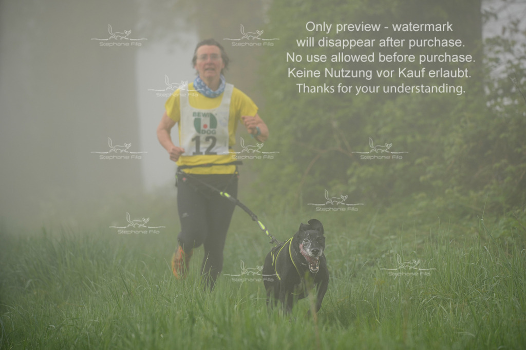 SA_GL2-66 | stephaniefillaphotographie - Realisiert mit Pictrs.com