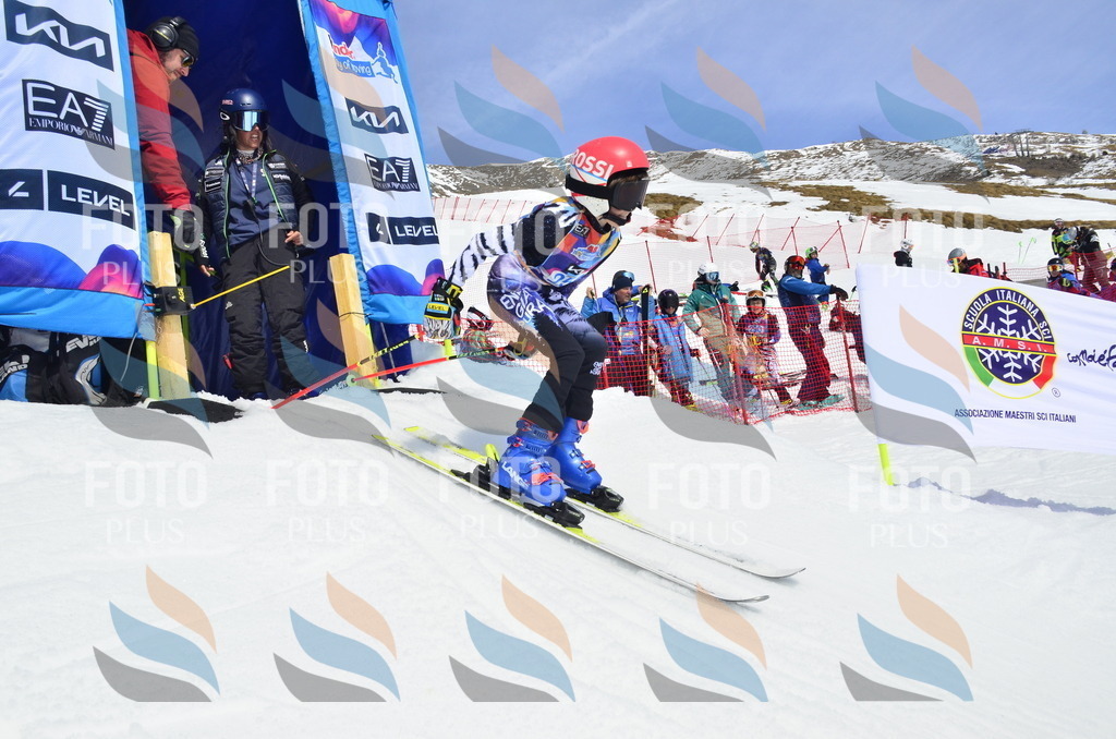 _ELE1871 | holidayphoto