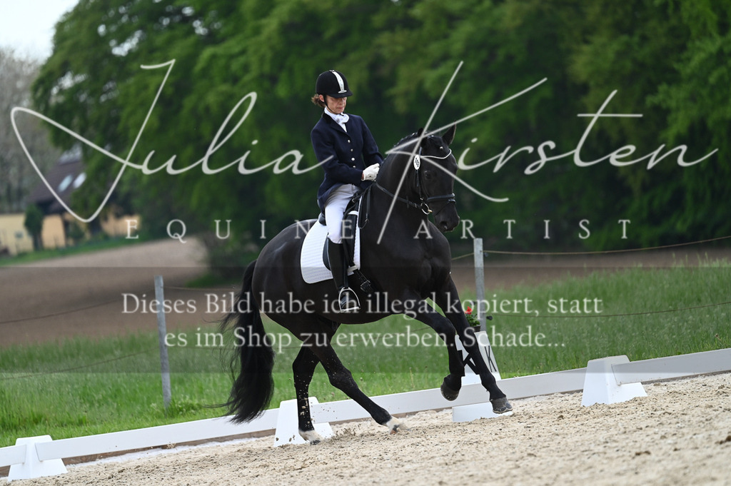 20230512_JK-Röhrsdorf-02-213 | Pferde- und Turnierfotografie in Westsachsen. Pferdeportraits, Auftragszeichnungen und intuitive Kunst.