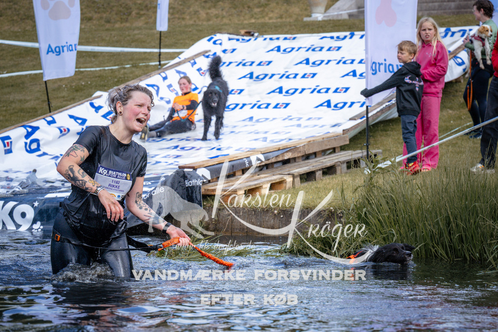 _ZZ918710918 | kk-dogfotos