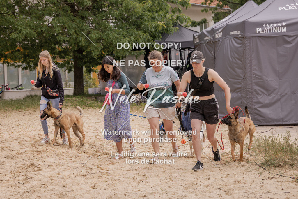 nelerasche_BuHu2026_MM_14 | nelerasche