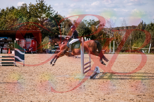 2026_10_03_Siefer-Hof_154640_Z81_65400606 | Professionelle Reitsport-, Turnier- und Eventfotografie von Robert Broda. Galerien mit ausgewählten und bearbeiteten Bildern direkt online ansehen und bestellen.