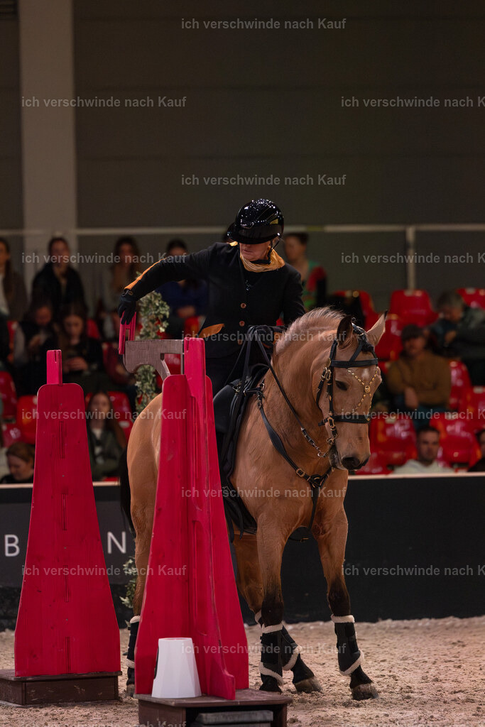 JoseraCup-136 | working equitationturnier fotograf videograf stoibphotography marixx film working equitation deutschland reitsport turnierfotografie eventfotografie equestrian events