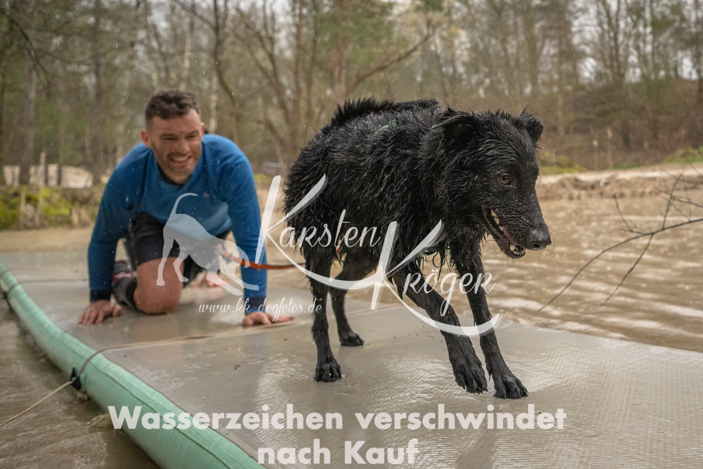 1053_ZZ93716-Bearbeitet | kk-dogfotos