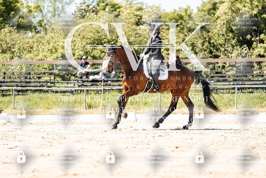 CK905203 | Turnierfotografie Pferdefotografie Trier Rheinland-Pfalz Pferdesport Reitsport Tierfotografie Sportfotografie Pferdevideo Pferdevideografie Equestrianvideography equestrianphotography  - Realisiert mit Pictrs.com