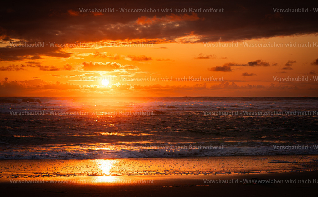 DSC02041 | marcuslinek