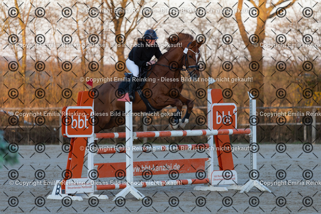 CL5A3681 | Emilia Reinking Fotografie - Realisiert mit Pictrs.com