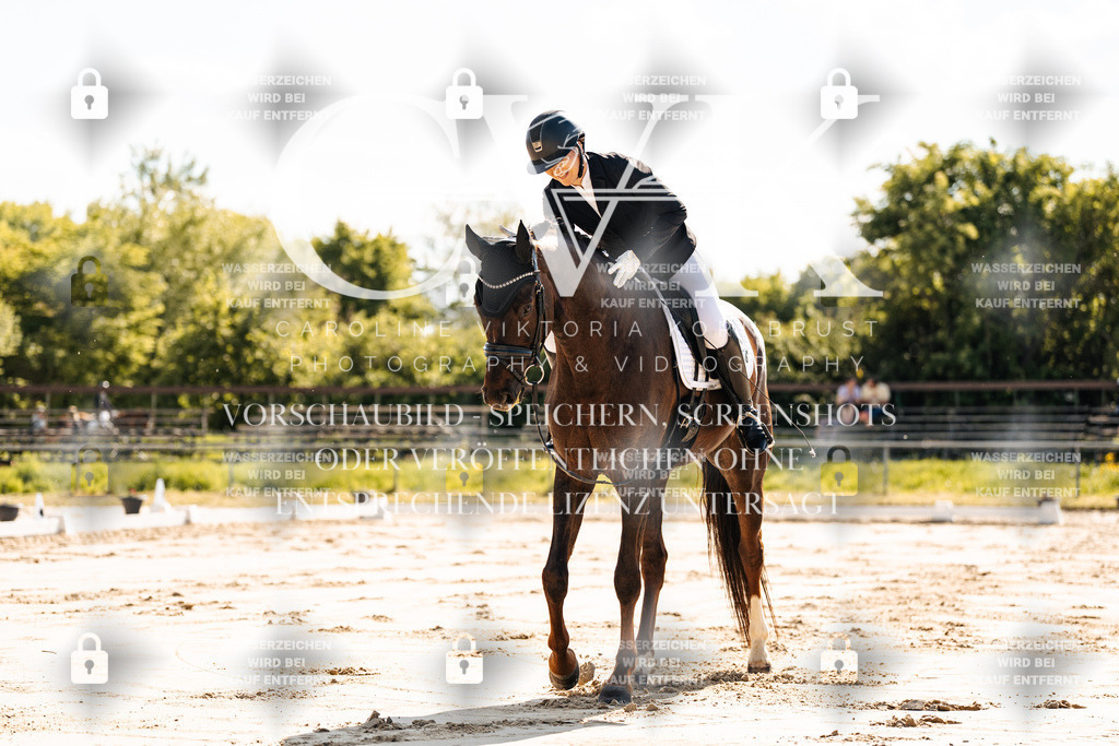 CK909203 | Turnierfotografie Pferdefotografie Trier Rheinland-Pfalz Pferdesport Reitsport Tierfotografie Sportfotografie Pferdevideo Pferdevideografie Equestrianvideography equestrianphotography  - Realisiert mit Pictrs.com